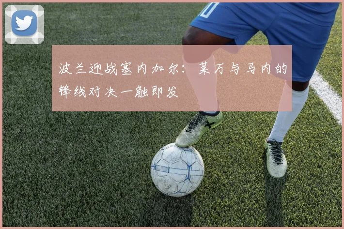 波兰迎战塞内加尔：莱万与马内的锋线对决一触即发